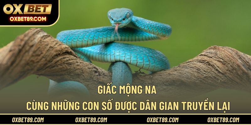 Giấc mộng na cùng những con số được dân gian truyền lại